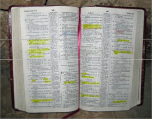 Open Bible