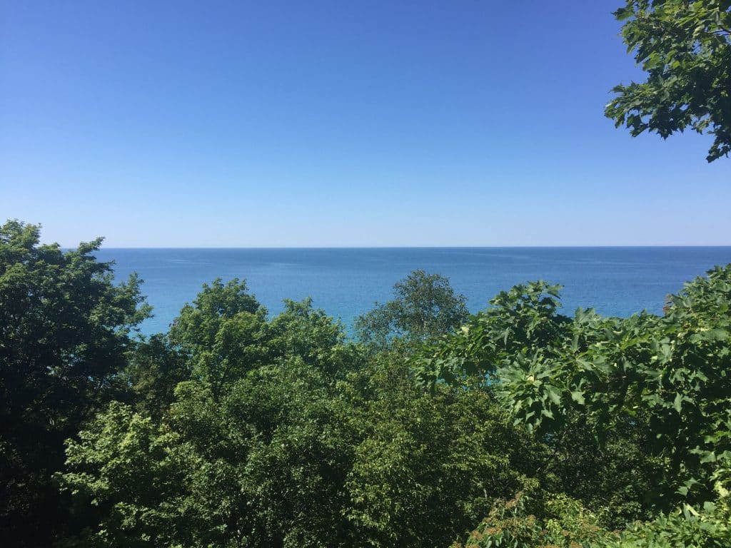 when-it-is-nice-in-michigan-it-is-not-nicer-anywhere-dr-lanny